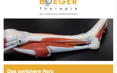 Boeger Info