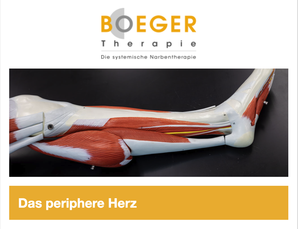 Bildschirmfoto 2026-03-04 um 10.10.12